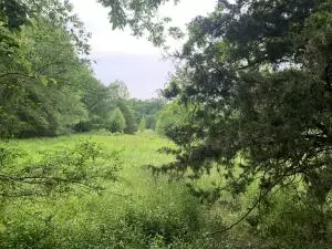 72025,Address not disclosed