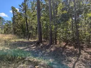 Perryville, AR 72126,00 Colorado Dr