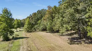 Danville, AR 72833
