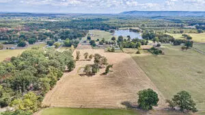 Pottsville, AR 72858,River Rd
