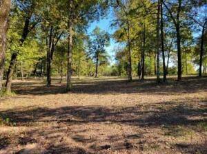 Pottsville, AR 72858,0 Giddieon Ln