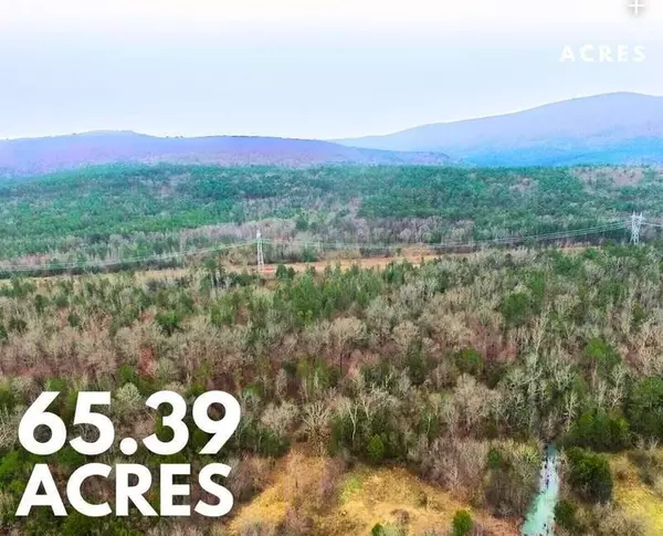 Pea Rdg Rd,  Havana,  AR 72842