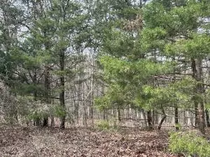 10 Acres on Top Lane, London, AR 72847