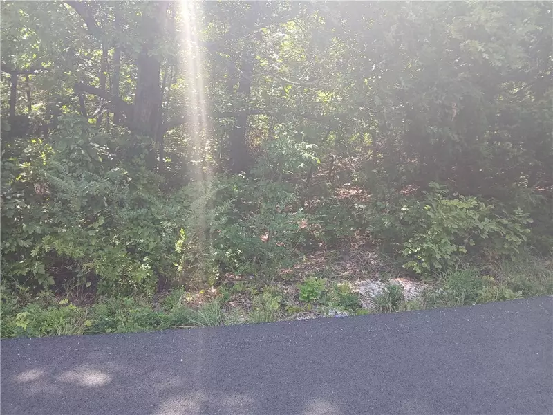 TBD Highland Blvd, Briarcliff, AR 72653