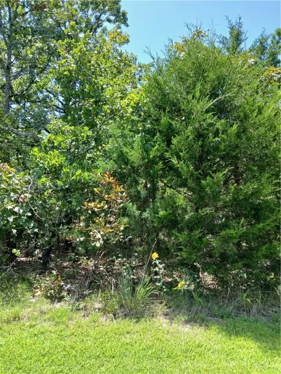 Briarcliff, AR 72653,TBD Ben Nevis