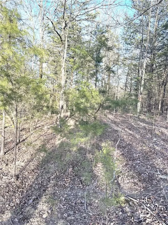 Land off Stockton Rd, Dover, AR 73837