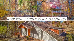 Harrison, AR 72601,3179 Wolf Springs Rd