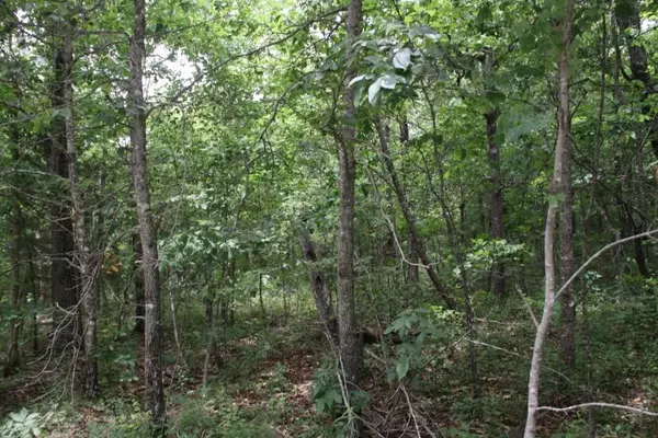 Deer, AR 72628,8.99 ac Hwy 7 S