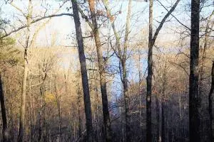 Lot 2 E Persimmon Point Rd, Lead Hill, AR 72644