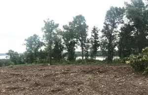 Lead Hill, AR 72644,Lot 1 Locust Dr