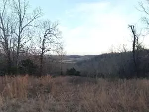 NC 3550, Western Grove, AR 72685