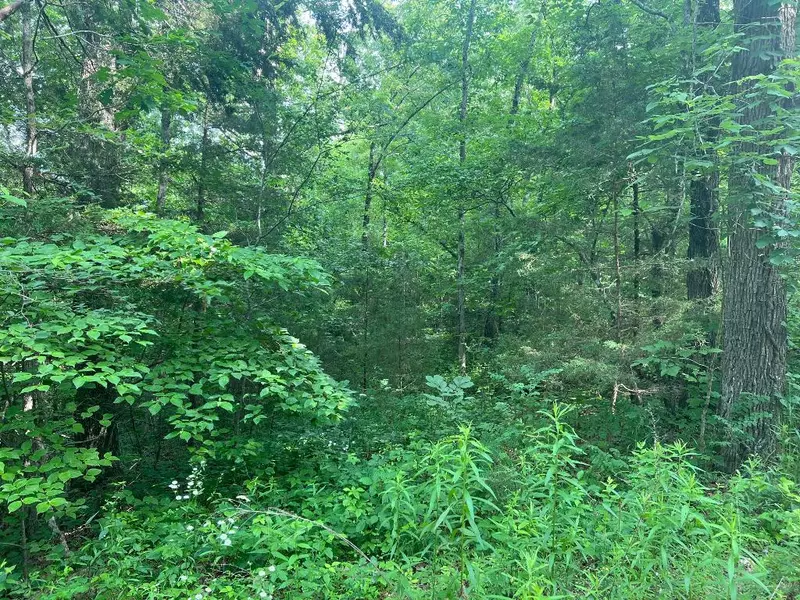 0000 Oakland Rd, AR 72675