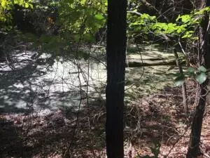 6411 Co Rd 905, Alpena, AR 72611