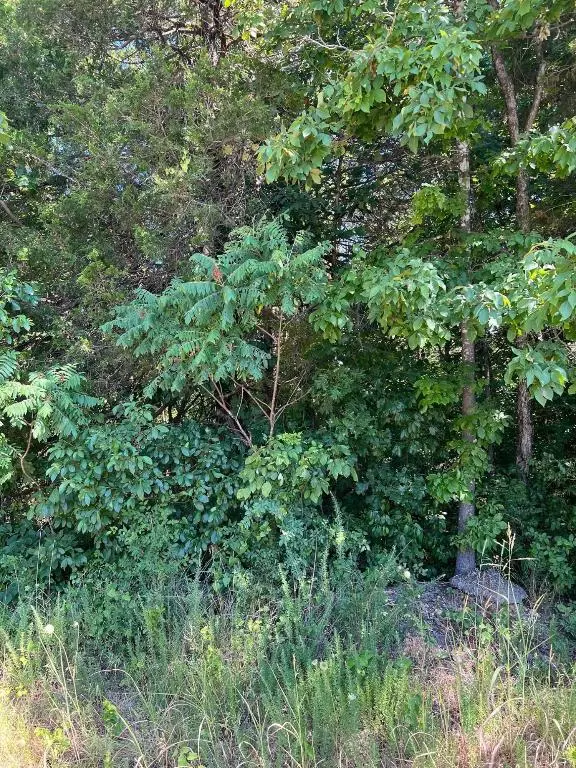 Diamond City, AR 72630,Lot 101 Dove St