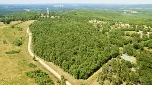 Tar Kiln Rd, Lead Hill, AR 72644