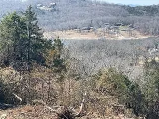 MO 65737,Lot 7 Talking Rocks Rd