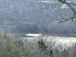 Lot 8 Talking Rocks Rd, MO 65737