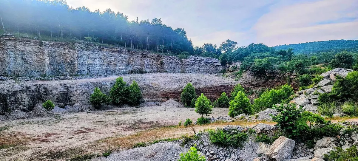 Western Grove, AR 72685,29423 HWY 123