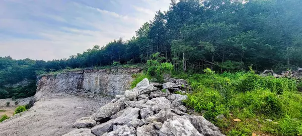 Western Grove, AR 72685,29423 HWY 123
