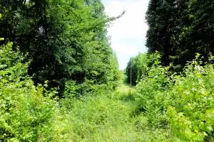 Deer, AR 72628,953 NC 8920