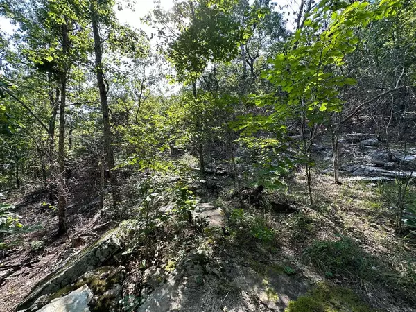 Yellville, AR 72687,1895 MC 8050