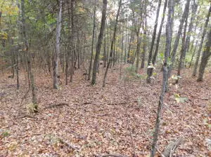 Hwy 74 E Tract 1, Jasper, AR 72641