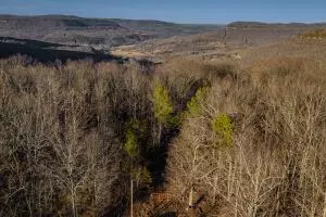 Deer, AR 72628,NC 8482
