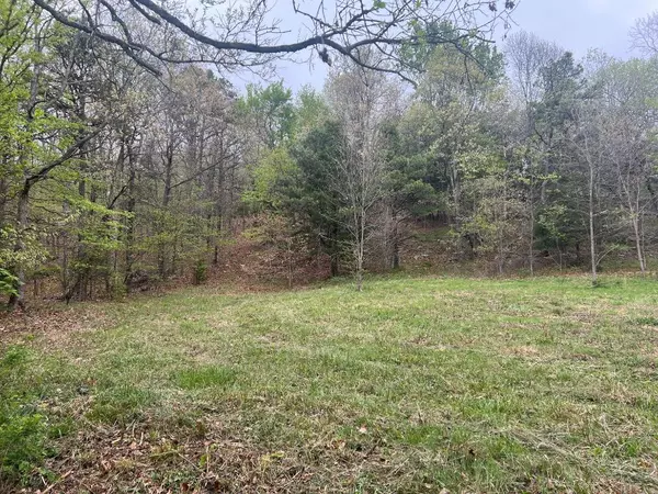 TBD0000 Smith Mt Rd, Jasper, AR 72641