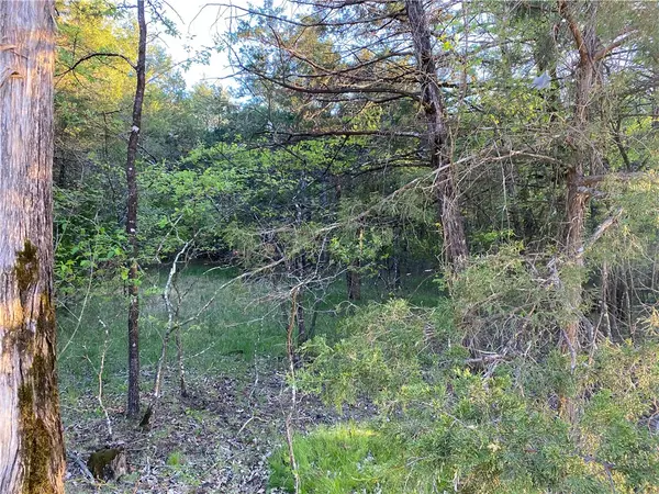 Diamond City, AR 72644,W Greenwood Dr
