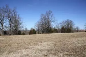 10819 Old Branch Rd, Harrison, AR 72601