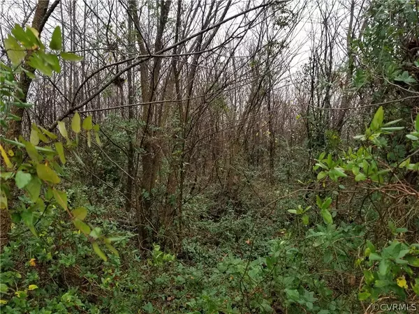 Bowling Green, VA 22427,00 Beverly Run Road