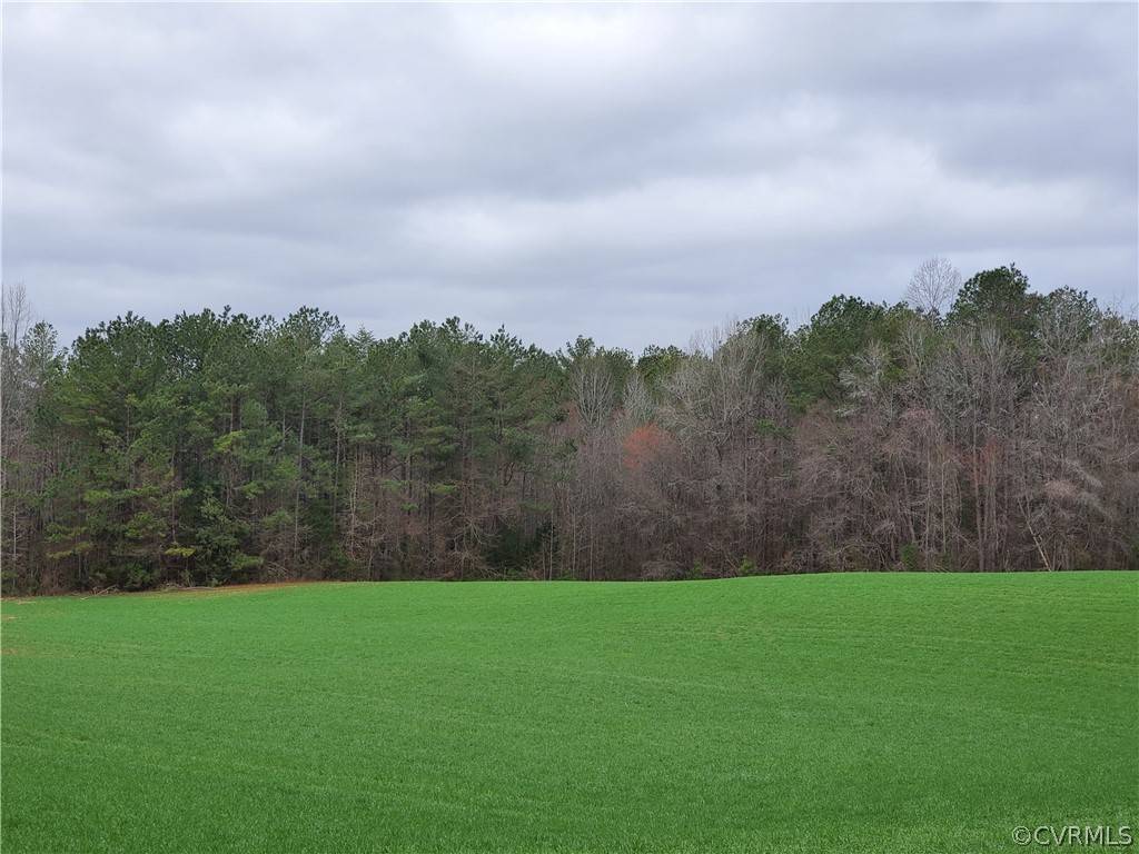 Church Road, VA 23833,1600 Namozine RD