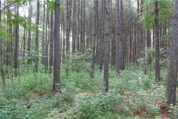 Boydton, VA 23917,00 White Oak CT