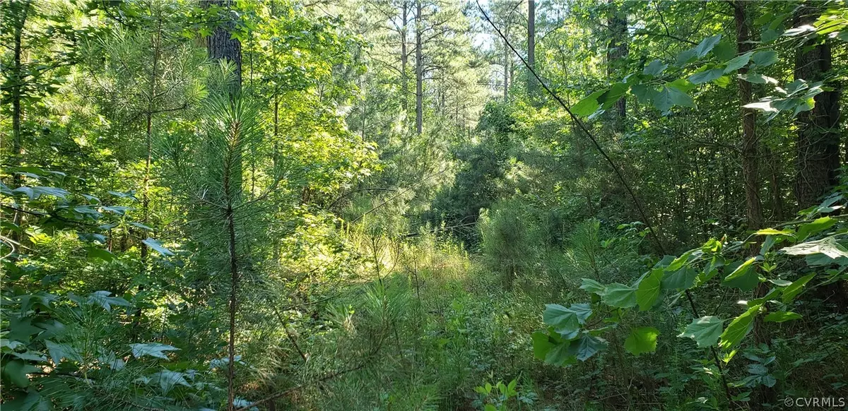 Beaverdam, VA 23015,0000 Parsons RD
