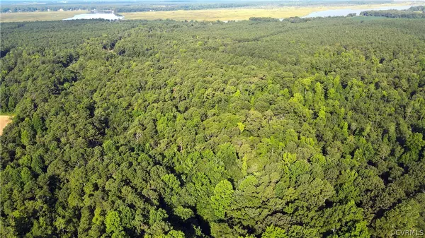 Little Plymouth, VA 23091,1 Forest View LN