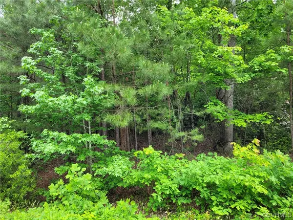 Surry, VA 23883,00 Cecelia CT