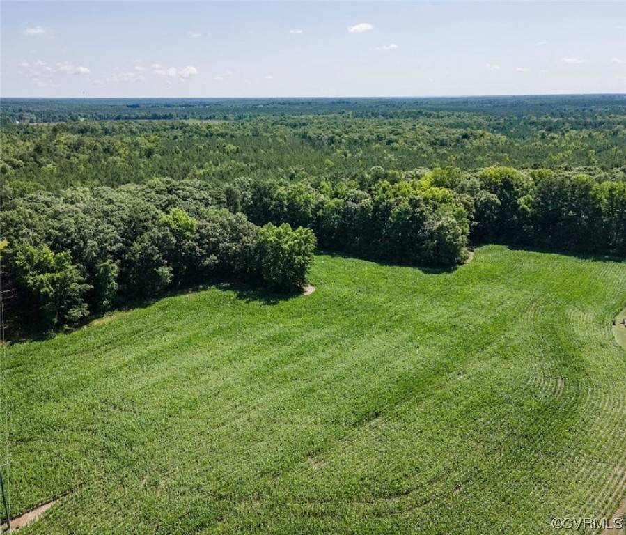 23191 Palace Green, Ruther Glen, VA 22546