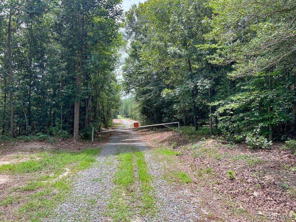 Madison, VA 23015,36.7 Acres Clifton RD