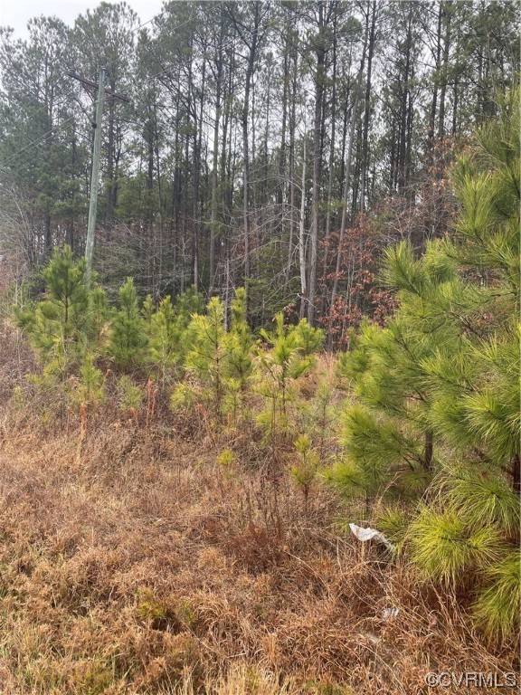 TBD Hair RD, Prince George, VA 23842