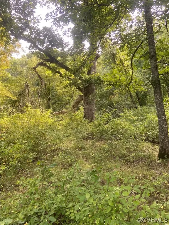 Spotsylvania, VA 22553,01 Red Fern LN