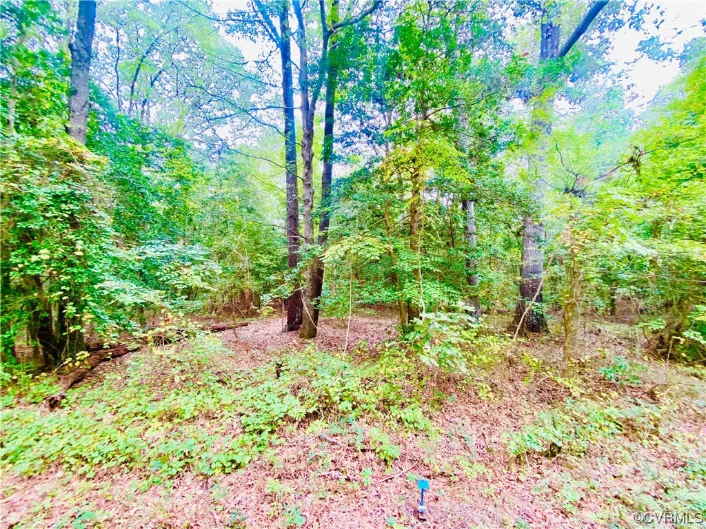 Lancaster, VA 22503,LOT 63 Senora RD
