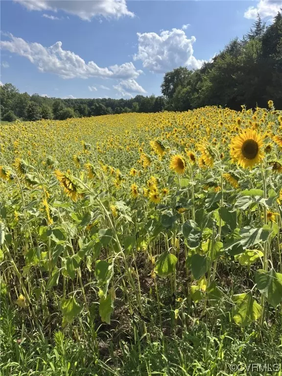 Catlett, VA 20115,11221 Bristersburg RD