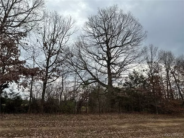 Orange, VA 22960,Lot 42d Lands End DR