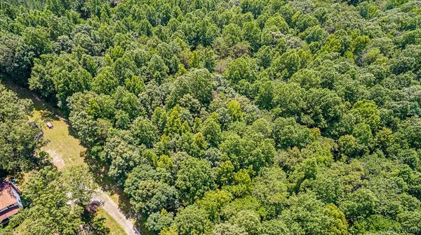 Goochland, VA 23063,03 Chimney Springs DR
