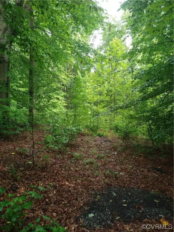 0000 Slash Pine CIR, Ruther Glen, VA 22546