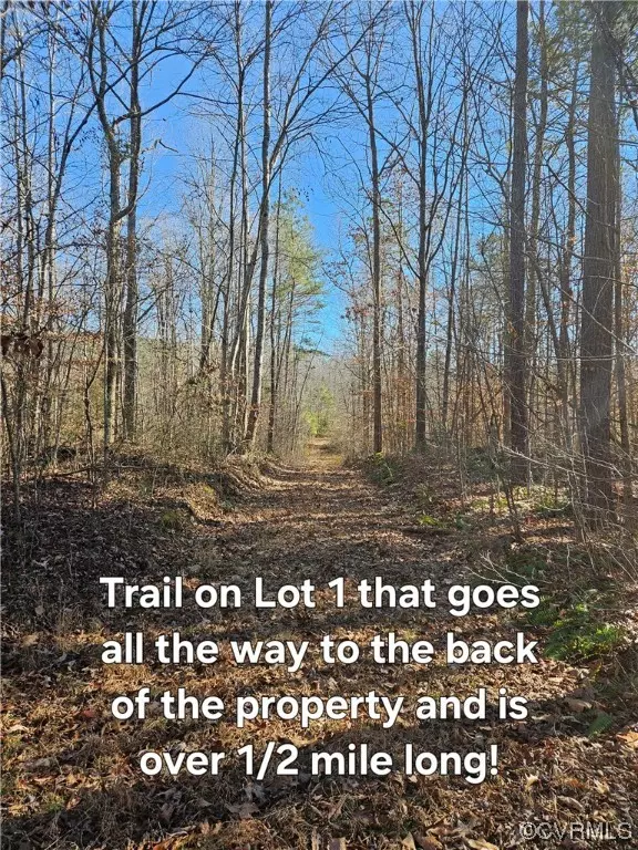 South Hill, VA 23970,0 N Whittles Mill RD