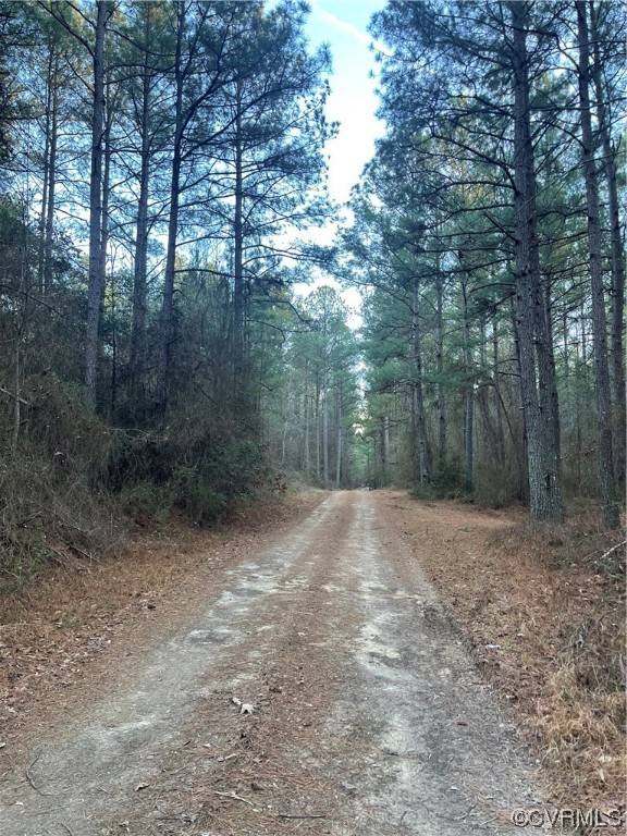 Providence Forge, VA 23140,TBD / Lot 2 Evergreen RD