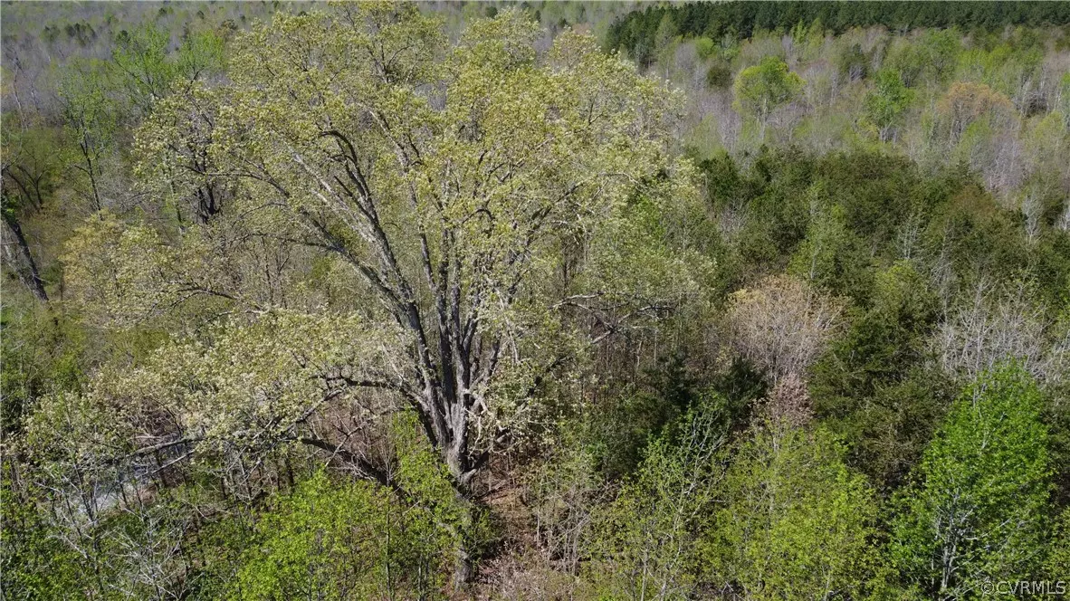 Jetersville, VA 23083,5.19 Acres Amelia Springs RD