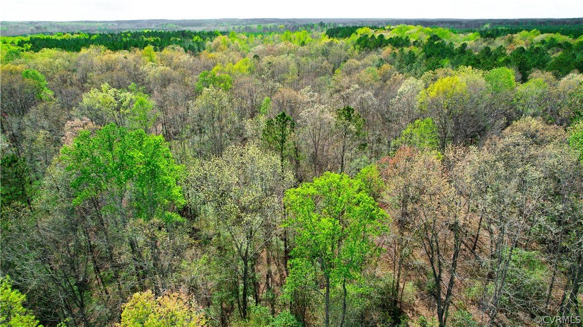 Ford, VA 23850,Lot 2 Colemans Lake RD