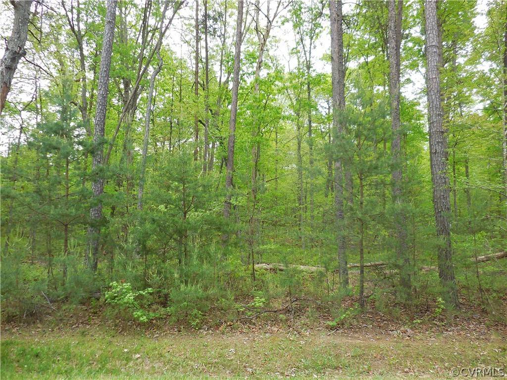 Montpelier, VA 23015,17128 Knoll Ridge DR